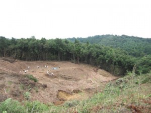 伝旧不動寺跡：遺跡遠景