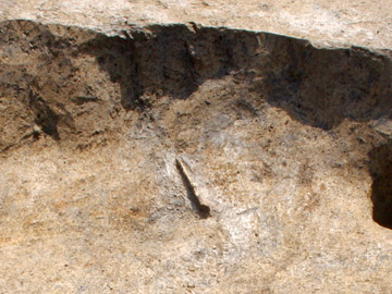 八條遺跡：土壙から長さ約20cmの小刀が出土