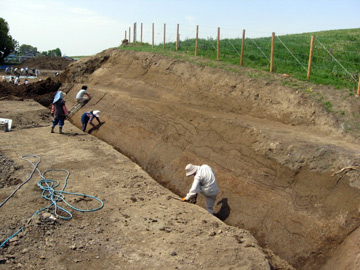 長竹遺跡：利根川旧堤跡断面(近世～現代)