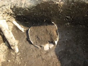 大木戸遺跡：方形周溝墓の溝から壺形土器が出土