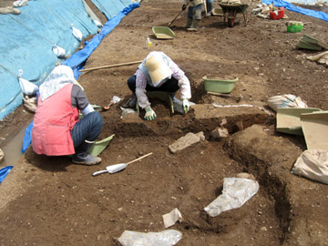 下田遺跡：手前が中世の屋敷跡、奥が古代の水田跡