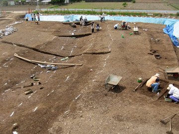 下田遺跡：検出された条里水田の畔