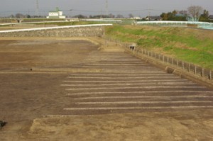 皿沼西遺跡：集落の周囲に広がる畠跡