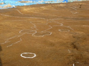 皿沼西遺跡：遺構を壊して縦横に走る噴砂