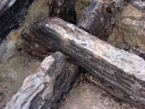 皿沼西遺跡：建築部材を転用した井戸枠