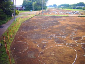 諏訪野遺跡：遺跡全景