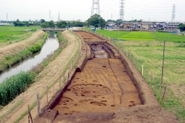 清左衛門遺跡：遺跡全景