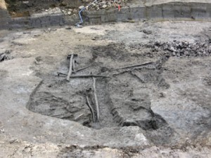 戸森前：河川跡の流木出土状況