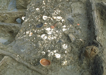 下田町遺跡 (熊谷市)