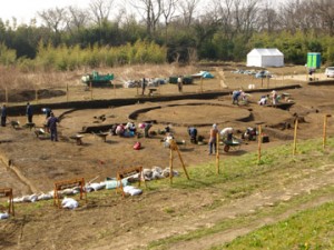 三竹遺跡 (川島町)
