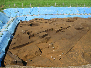 長竹遺跡 (加須市)