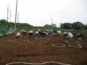 大平遺跡 (桶川市)