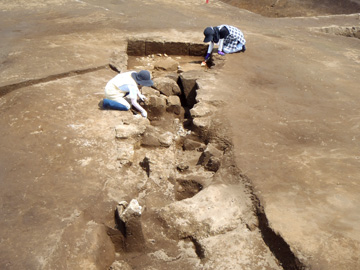 楽中遺跡 (桶川市)