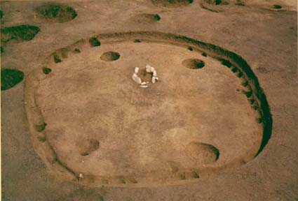 新田東遺跡 (毛呂山町)