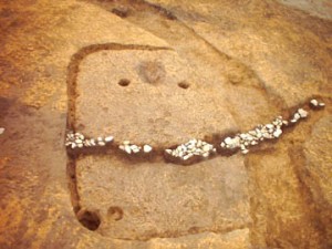 杉の木遺跡　（東松山市）