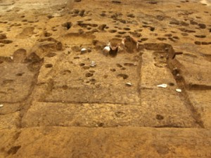 皂樹原・檜下遺跡 (神川町)