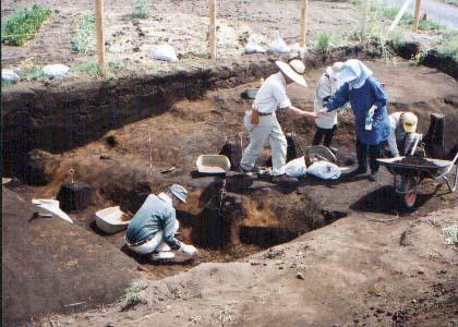 膳棚東遺跡 (所沢市)