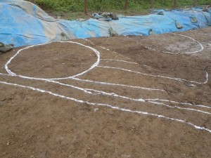 宮西遺跡 (加須市)