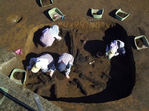 楽上遺跡 (桶川市)