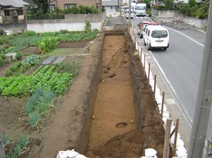 荒川附遺跡 (蓮田市)