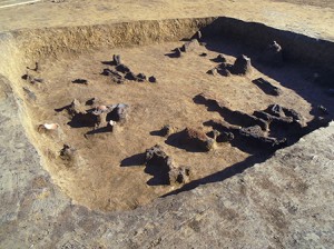 楽上Ⅱ遺跡 (桶川市)