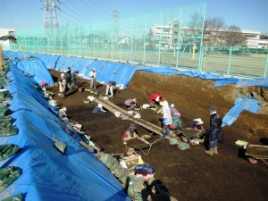 赤砂利遺跡 (白岡市)