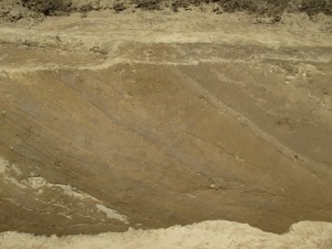 旧利根川堤防跡　（加須市）