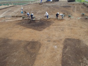槙野地北遺跡（第４次）　（幸手市）