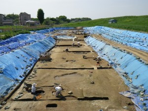 旧利根川堤防跡(第2次) (加須市)