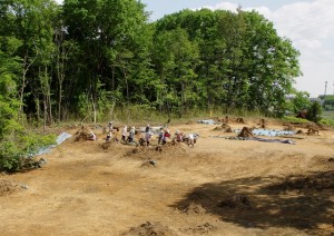 北坂遺跡 (深谷市)