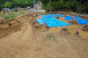 天神峯遺跡(第2次) (日高市)