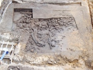 大木戸遺跡(第20次) (さいたま市)