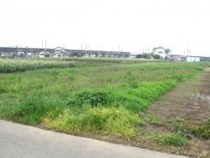 東光寺裏遺跡 (深谷市)