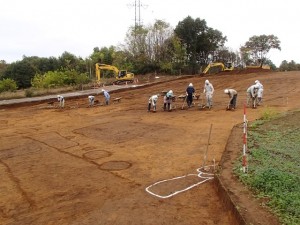 中平遺跡 (寄居町)
