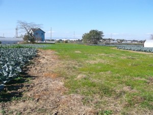 伊勢塚遺跡(第2次) (深谷市)
