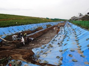 樋ノ口遺跡(第2次) (加須市)