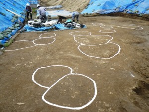 旧利根川堤防跡(第3次) (加須市)