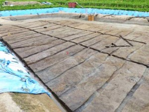 茂手木遺跡（第2次）　（羽生市）