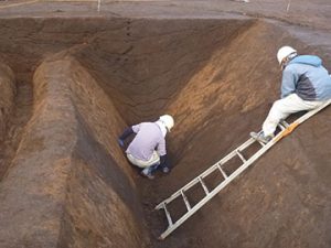 新井堀の内遺跡　（蓮田市）