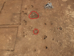 油面遺跡第1次 (嵐山町)