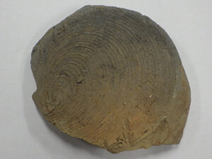 上宿遺跡第1地点 (志木市)