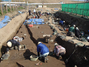 上新郷遺跡 (羽生市)