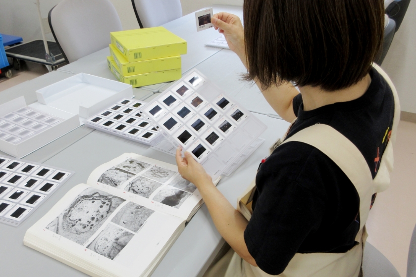 写真・図面の整理