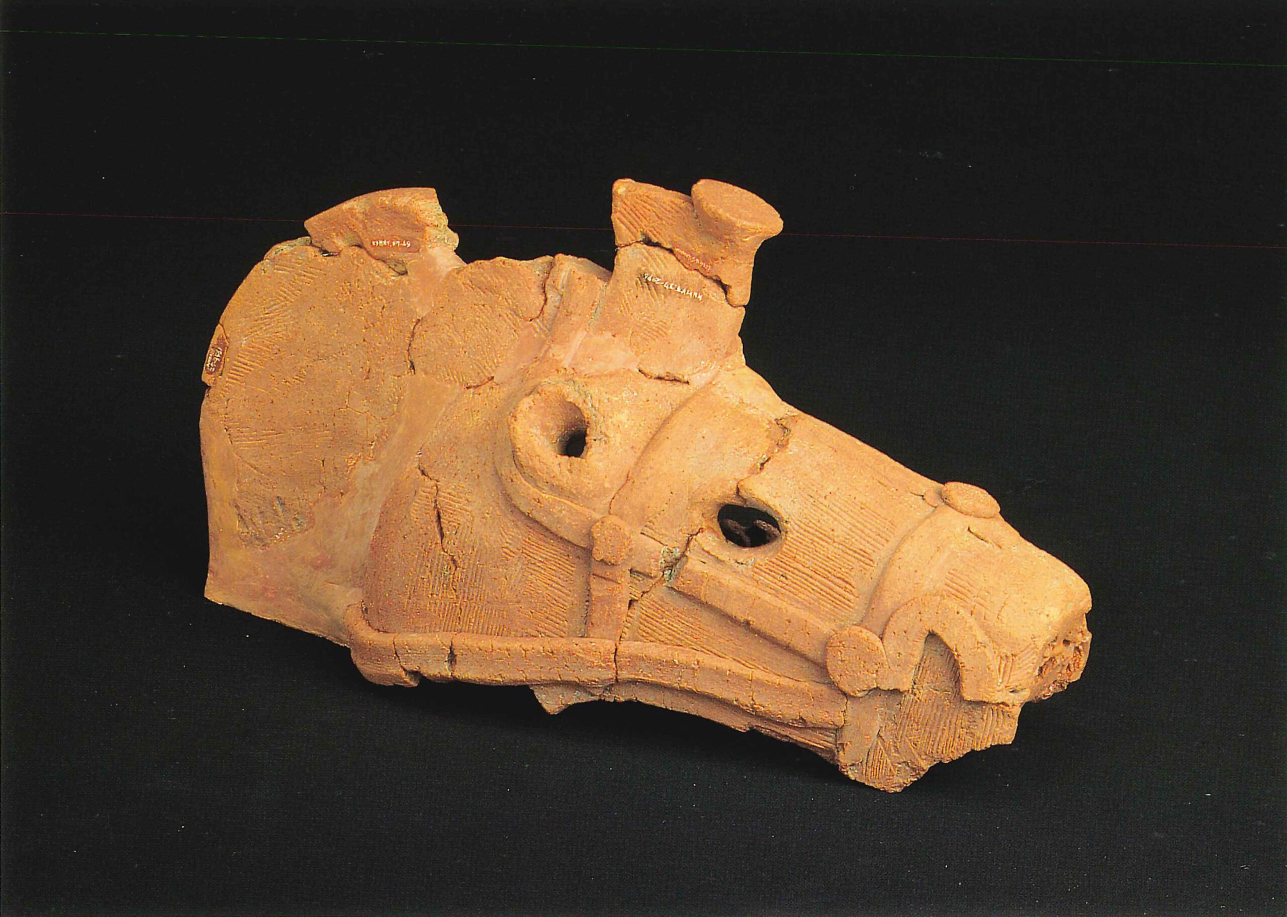 小沼耕地遺跡こぬまごうちいせき