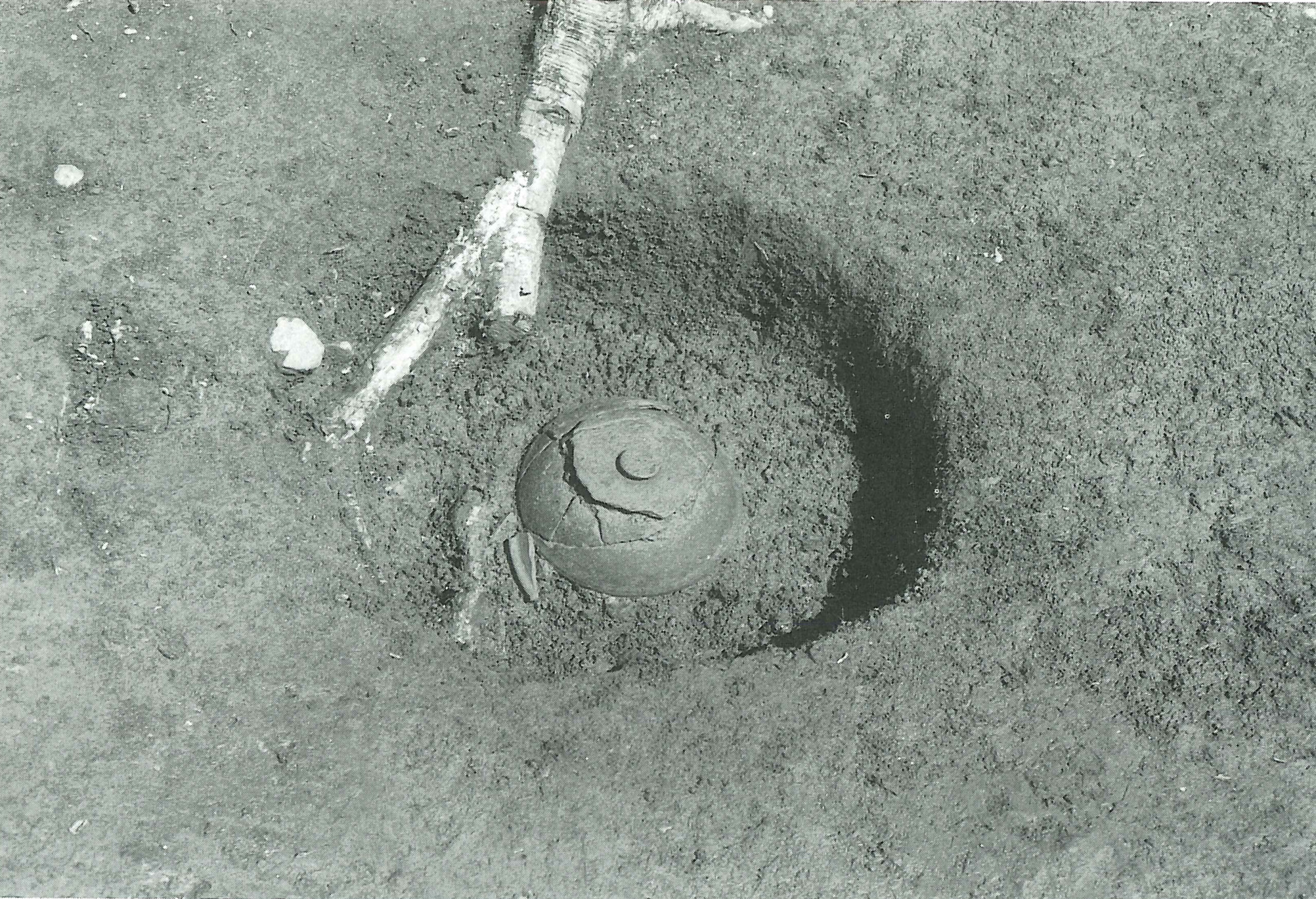 児沢北遺跡ちごさわきたいせき