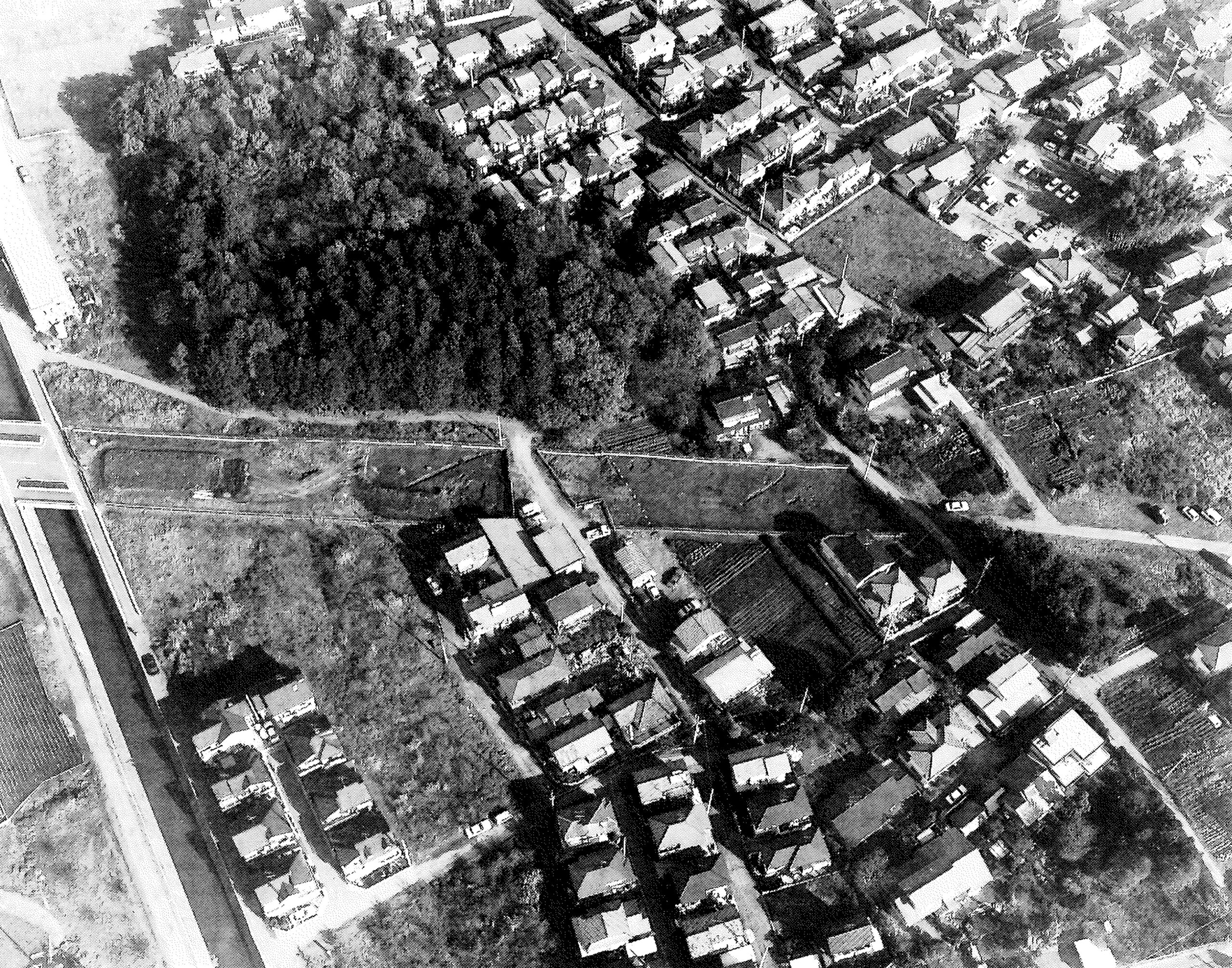 下山田遺跡しもやまだいせき