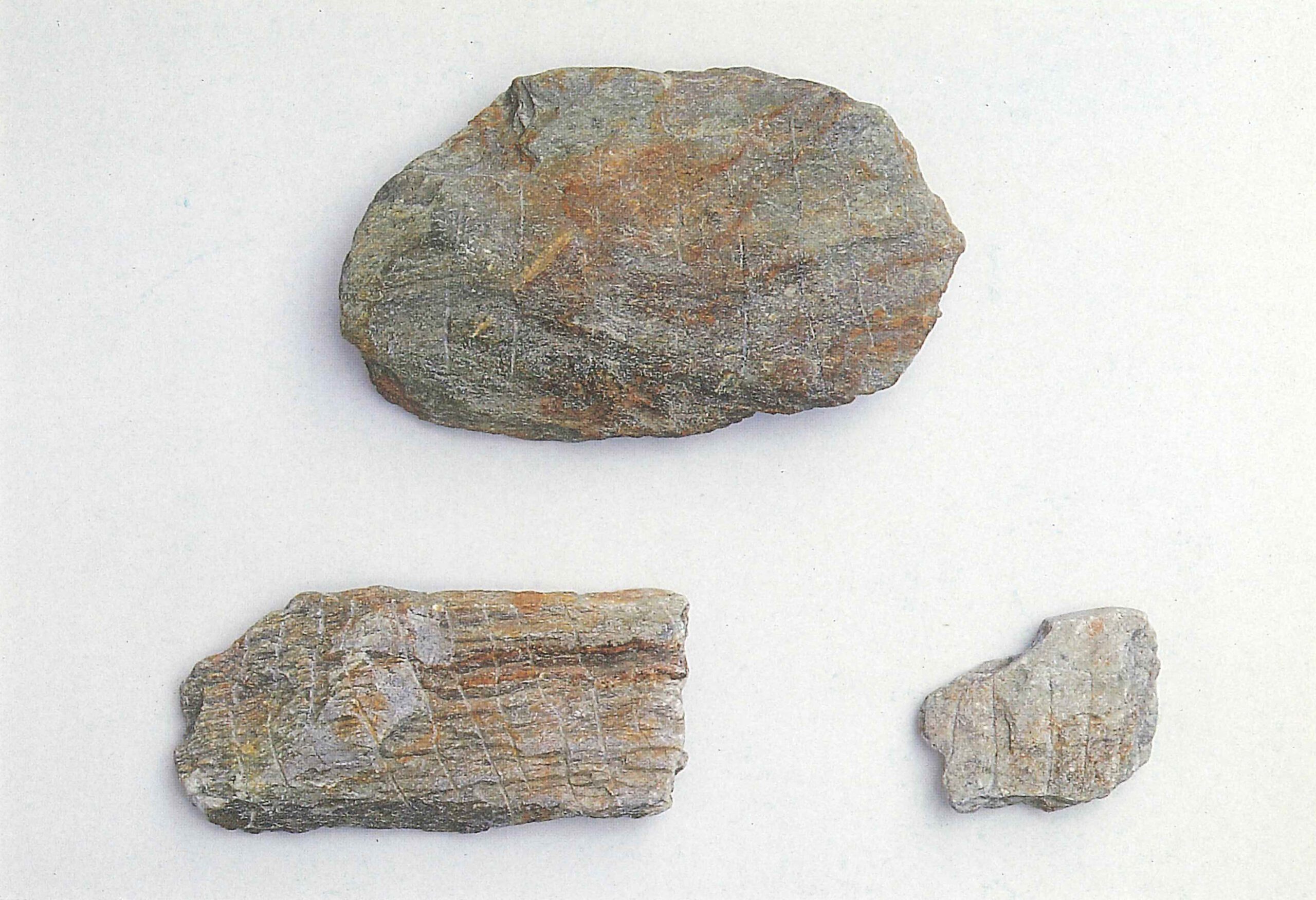 新屋敷東しんやしきひがし・本郷前東ほんごうまえひがし