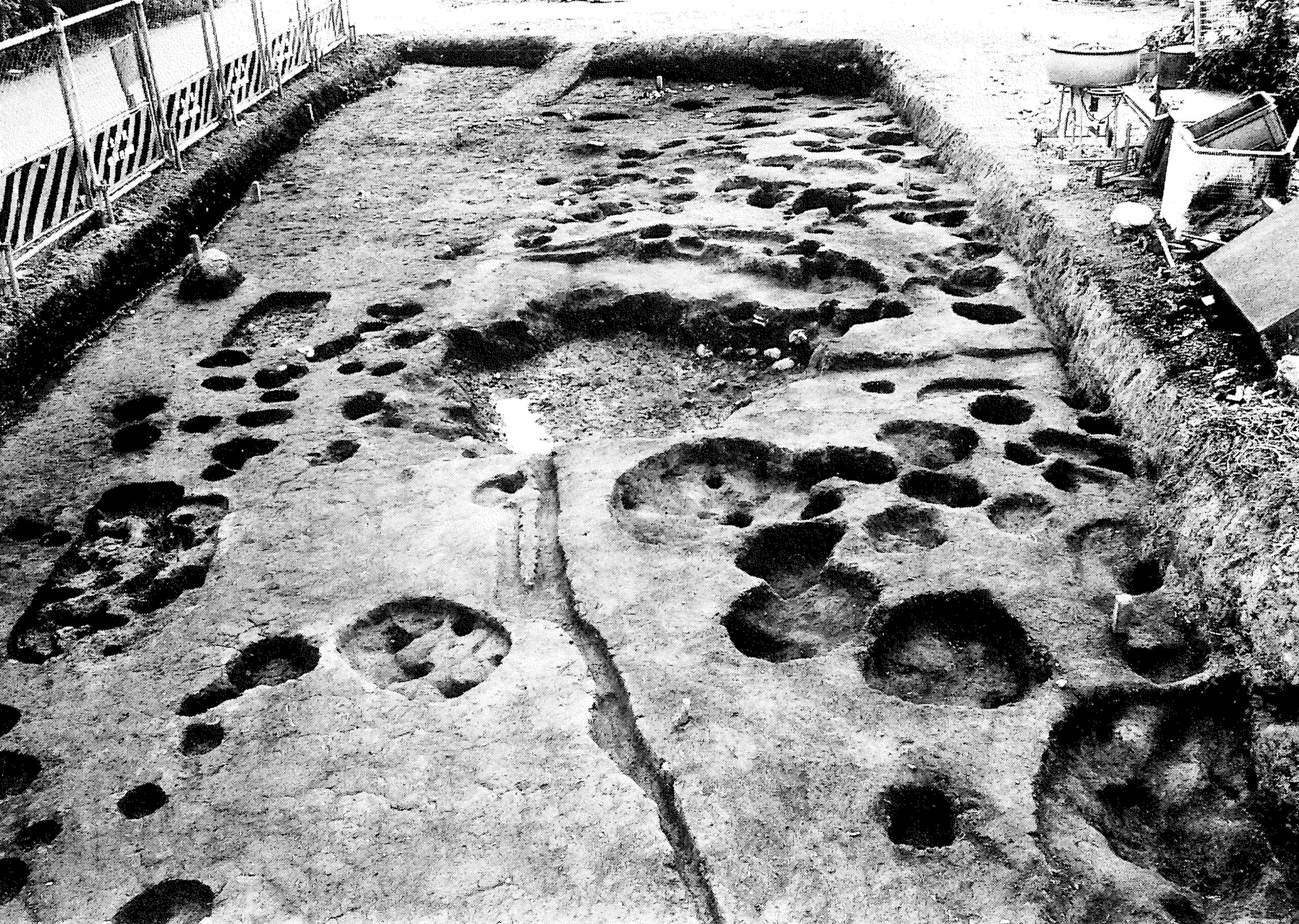 大杉おおすぎ・岡原おかはら・蟹山かにやま