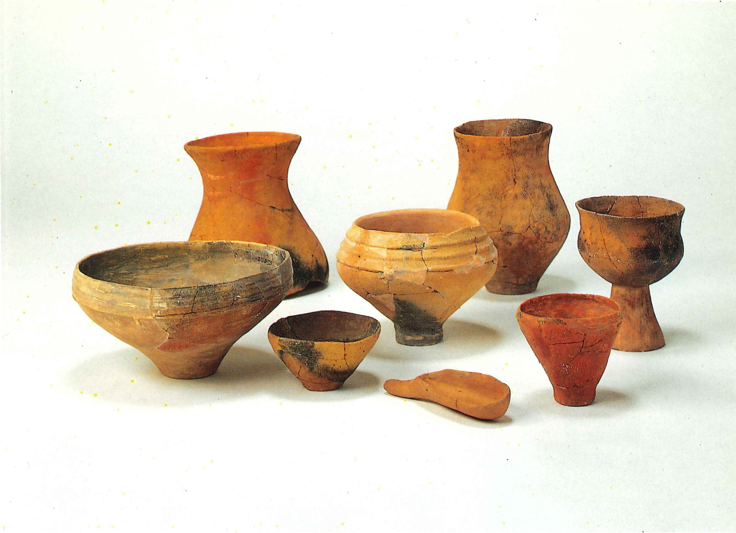 白草遺跡ⅡしらくさいせきⅡ