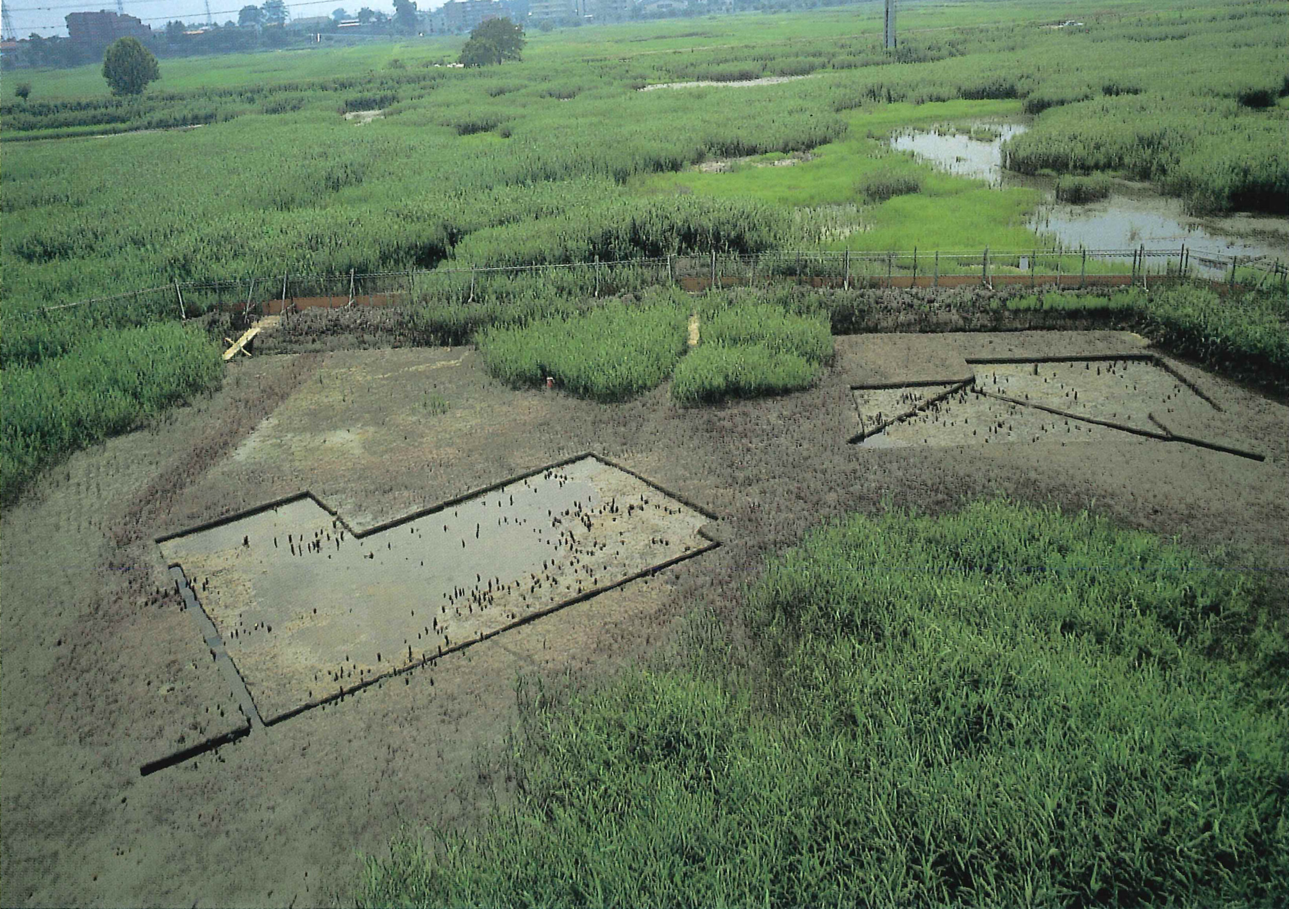 四本竹遺跡しほんだけいせき